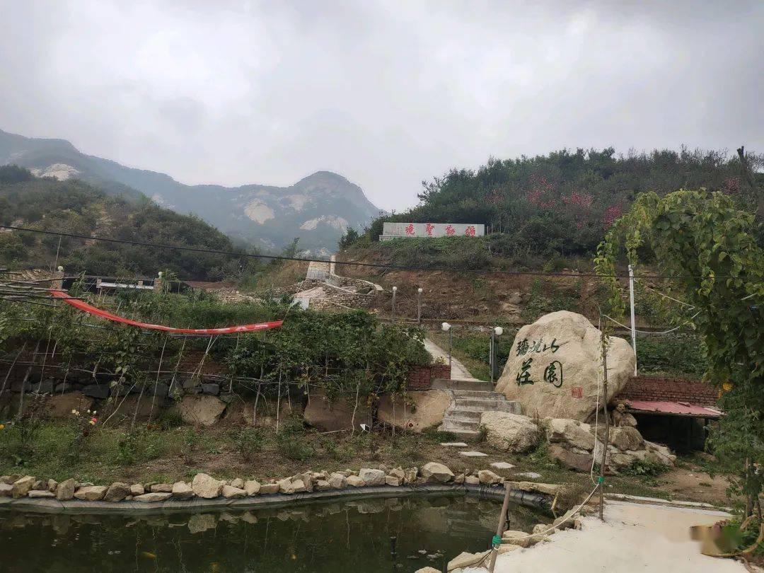 闹大了！哈尔滨20元羊汤后续：官方当晚出手，摊主完了，悔不当初